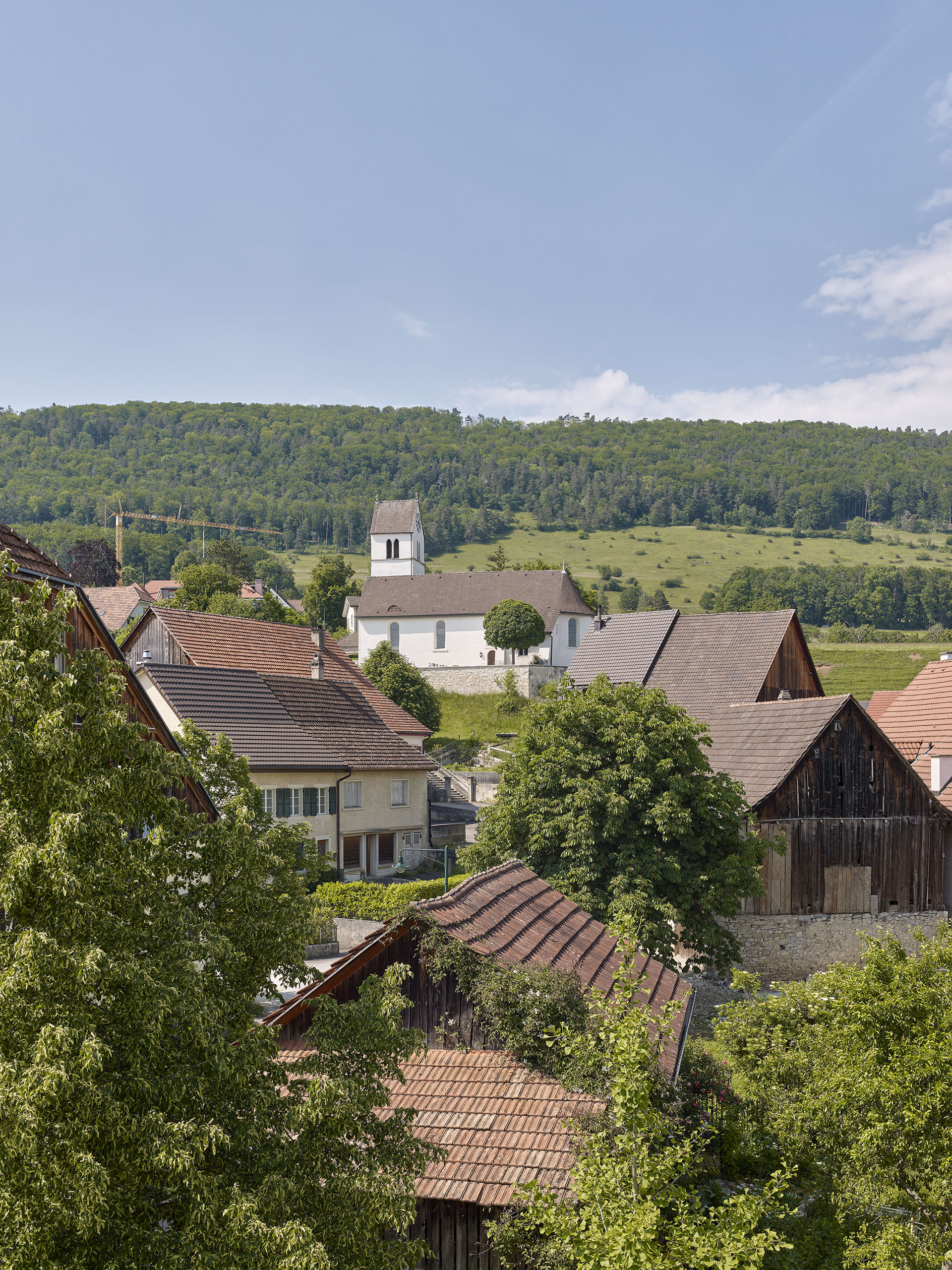 E17644 BL07 Alpa 114810